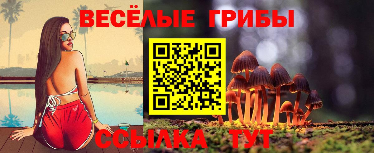 Галлюциногенные грибы ЛСД  Галлюциногенные грибы Psilocybe  Сегежа  Вход с VPN 